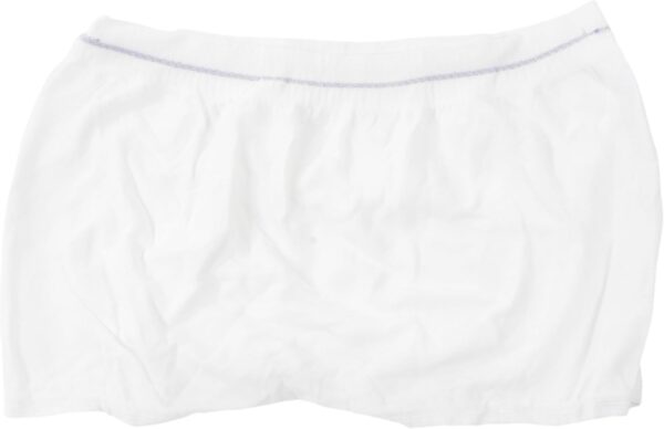 Cardinal Health™ Maternity Knit Underpants, Wings™, Seamless Sides, Gray Purple, 2X-Large/3X-Large, 1 Bag of 2