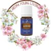 Young Living Gathering 5ml - Perfect for Ritual and Prayer Essential Oil - Aromatherapy for Spiritual Peace and Harmony - Emotional and Mental Well-Being