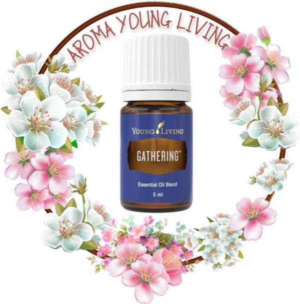 Young Living Gathering 5ml - Perfect for Ritual and Prayer Essential Oil - Aromatherapy for Spiritual Peace and Harmony - Emotional and Mental Well-Being