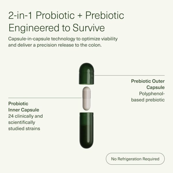 Seed DS-01 Daily Synbiotic - Prebiotic and Probiotic for Women & Men - Digestive Health, Gut Health, Immune Support, Bloating & Constipation Relief - Vegan & Shelf-Stable - 60 Capsules (30-Day Supply)