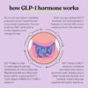 Lemme GLP-1 Daily, Reduce Hunger & Cravings, Boost GLP-1 Production, Support Fat Loss and Weight Management with Clinically Studied Ingredients, 1 Month Supply (60 Capsules)