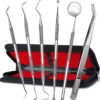 G.CATACC Dental Tools, Dental Pick Teeth Cleaning Tools Hygiene Kit, Plaque Remover for Teeth, Professional Stainless Steel Tooth Scraper Plaque Tartar Cleaner - with Case