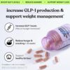 Lemme GLP-1 Daily, Reduce Hunger & Cravings, Boost GLP-1 Production, Support Fat Loss and Weight Management with Clinically Studied Ingredients, 1 Month Supply (60 Capsules)