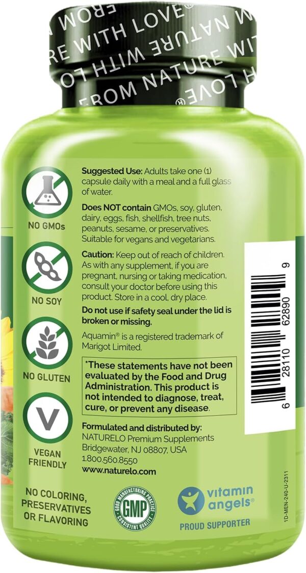 NATURELO One Daily Multivitamin for Men - with Vitamins & Minerals + Organic Whole Foods - Supplement to Boost Energy, General Health - Non-GMO - 60 Capsules - 2 Month Supply