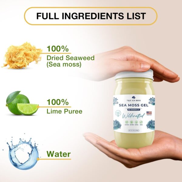 TrueSeaMoss Wildcrafted Irish Sea Moss Gel - Made with Dried Seaweed & Fresh Sea Vegetables, Seamoss - Made in USA (Original, Pack of 1)