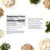 Promix Creatine Monohydrate Stick Packs | 5g of Micronized Creatine | Supports Muscle Growth & Recovery - 30 Count