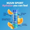 Nuun Sport Electrolyte Tablets - Dissolvable in Water, Variety Pack, 5 Essential Electrolytes for Hydration, 1g Sugar Drink Mix, Vegan, Non-GMO, 6 Pack (60 Total Servings)