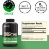 Optimum Nutrition Micronized Creatine Monohydrate Powder, Unflavored, 120 Servings, 600 Grams (Packaging May Vary)