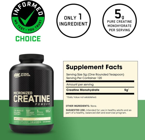 Optimum Nutrition Micronized Creatine Monohydrate Powder, Unflavored, 120 Servings, 600 Grams (Packaging May Vary)