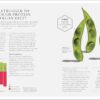 The Science of Nutrition: Debunk the Diet Myths and Learn How to Eat Responsibly for Health and Happiness (DK Science of)