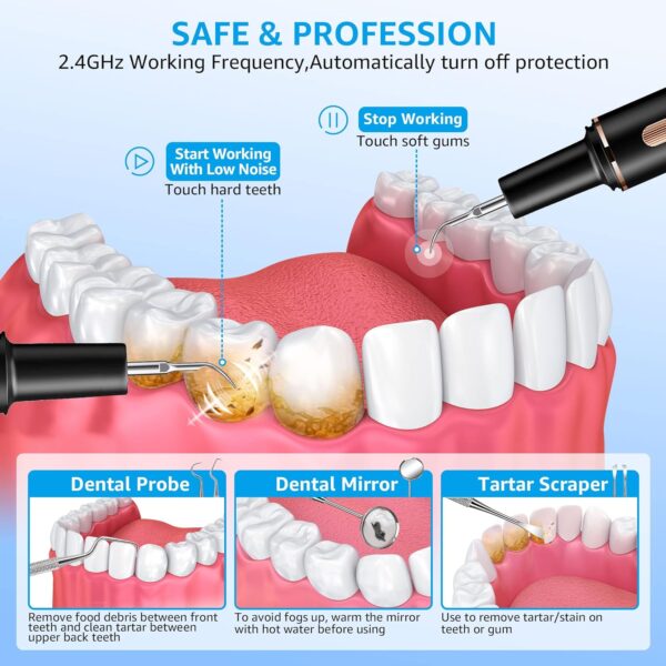 Plaque Remover for Teeth, Teeth Cleaning Kit with Ultrasonic Tooth Cleaner and Dental Tools, Dental Picks for Teeth Cleaning and Rechargeable Plaque Blaster with LED, Tartar Remover, 4 Heads
