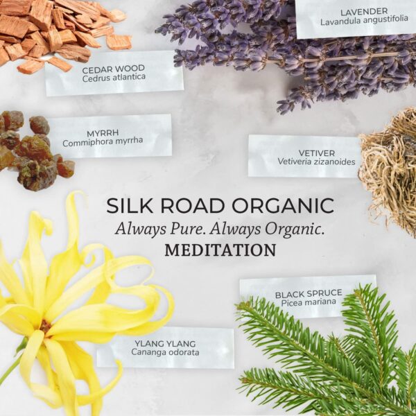 Organic Meditation Essential Oil Empowering Blend Roll On,100% Pure USDA Certified Aromatherapy for Chakra Healing, Focus, Calming, Mindfulness & Spiritual Well-Being -10ml Roller by Silk Road Organic