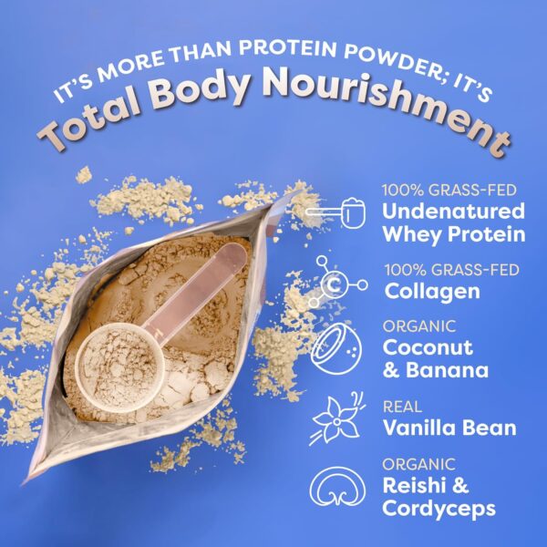 FlavCity Protein Powder Smoothie, Vanilla - 100% Grass-Fed Whey Protein Smoothie with Collagen (25g of Protein) - Gluten Free & No Added Sugars (29.84 oz)