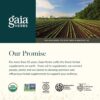 Gaia Herbs Mental Alertness - Brain Support Supplement to Help Maintain Focus & Memory* - with Eleuthero, Ginkgo Leaf, Gotu Kola, Rosemary & Oats - 60 Vegan Liquid Phyto-Capsules (15-Day Supply)