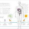 The Science of Nutrition: Debunk the Diet Myths and Learn How to Eat Responsibly for Health and Happiness (DK Science of)
