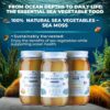 TrueSeaMoss Wildcrafted Irish Sea Moss Gel - Made with Dried Seaweed & Fresh Sea Vegetables, Seamoss - Made in USA (Original, Pack of 1)