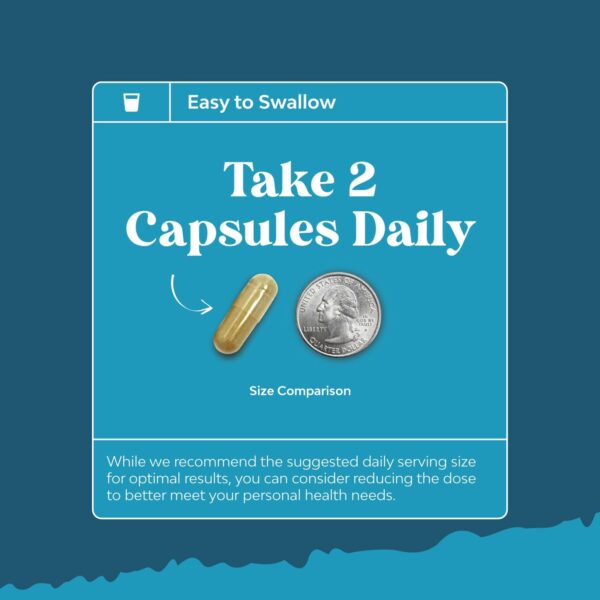Advanced Nootropic Brain Supplement for Memory and Focus Enhancement - Synergetic Mental Energy and Focus Supplements for Cognitive Enhancement - Vitamins for Mind Memory & Brain Health - 45 Servings