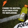 Gatorade Thirst Quencher, Lime Cucumber, 12 Fl Oz Bottles, 12 Pack