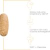 Integrative Therapeutics - Cortisol Manager - Supplement with Ashwagandha and L-Theanine - Supports Relaxation & Calm* - 90 Tablets