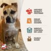 Fromm Weight Management Gold Dry Dog Food, Turkey Recipe, 30 lb, Large & Giant Breeds