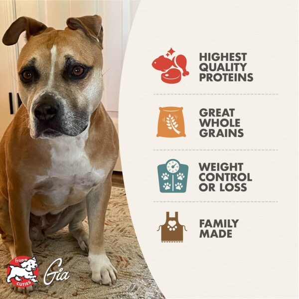 Fromm Weight Management Gold Dry Dog Food, Turkey Recipe, 30 lb, Large & Giant Breeds