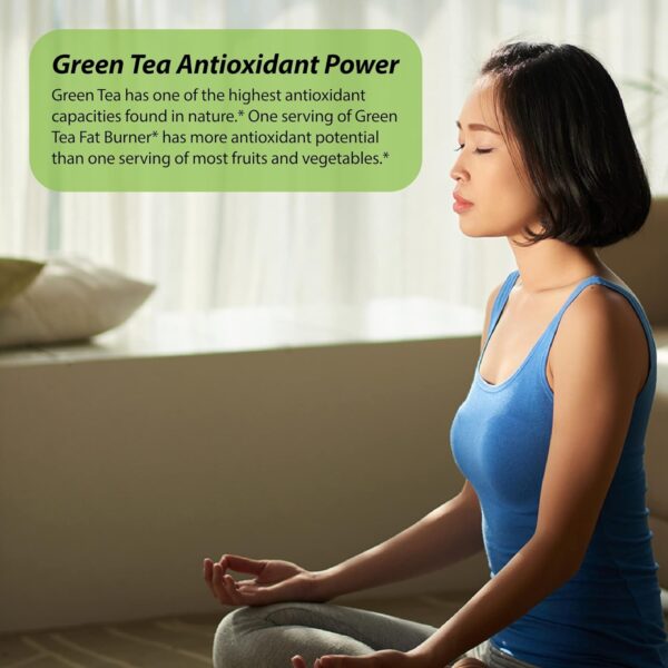 Applied Nutrition Green Tea Fat Burner 30 Soft Gels (Pack of 3)