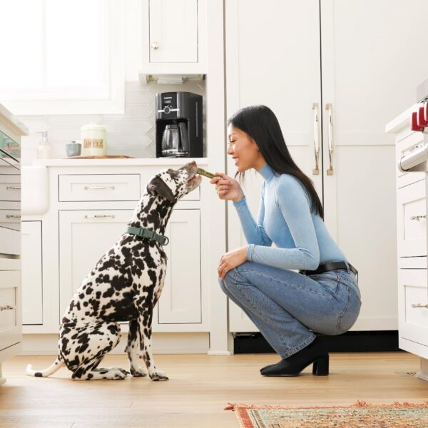 Greenies Original Teenie Natural Dental Care Dog Treats, 36 oz. Pack (130 Treats)