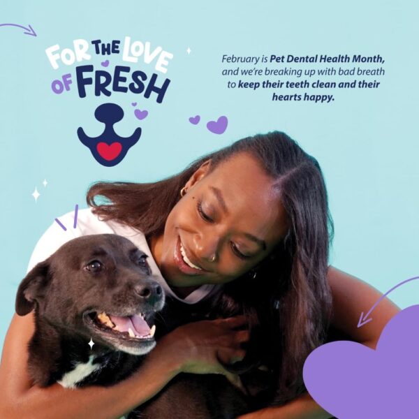 1739965240_61eIsjkGrvL._AC_SL1000_.jpg Dental Fresh Water Additive for Dogs, Original Formula, 32oz – Dog Breath Freshener and Dog Teeth Cleaning for Dog Dental Care– Add to Water