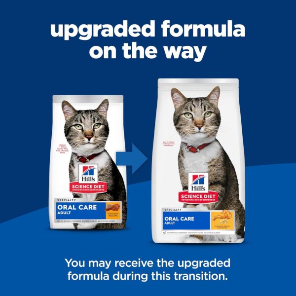 Hill's Science Diet Oral Care, Adult 1-6, Plaque & Tartar Buildup Support, Dry Cat Food, Chicken Recipe, 3.5 lb Bag