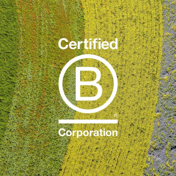 Davines Naturaltech REPLUMPING Shampoo & Conditioner, Gentle Cleasning To Add Hydration, Elasticity And Protection, Adds Fullness, Moisturizing & Detangling