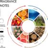 Hotel Scents Luxe Rouge 150mL Essential Oil Scent for Diffusers - The Exotic Spice of Saffron, Ambergris, Woody nuances, and Musk - Oil Blends for Aromatherapy - Home Luxury & Hotel Scent