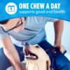 Purina DentaLife Made in USA Facilities Large Dog Dental Chews, Daily - 18 ct. Pouch