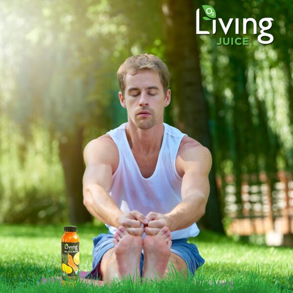 O2 Living Juices Cold Pressed Juice – Organic Low-Calorie Detox Cleanse Drink, Non-GMO, Fresh Fruit & Vegetable Juice, Immunity Refresher, Vitamin-Packed Beverage – 24 Pack | 3-Day (12oz Each)