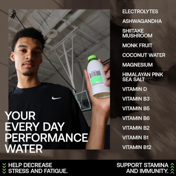 Barcode Sports Drink with Electrolytes Malibu Punch (12 Pack) - Premium Hydration, No Added Sugar - Adaptogen-Powered Plant-Based Beverage - 12 Vitamins & Minerals for Immunity & Performance