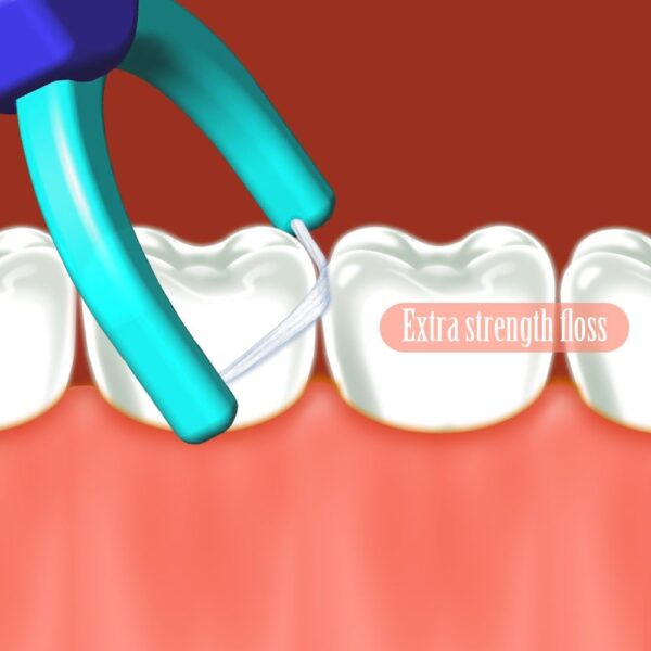 Evolutionary Clean Dental Flossers, Kit of Refills Plus Mid-Length Handle (1 Handle + 100 Refills)
