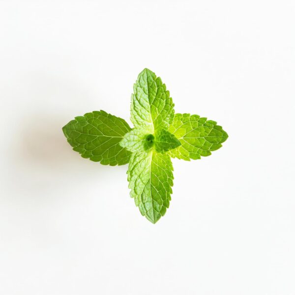 Essential Oxygen Certified BR Organic Brushing Rinse, All Natural Mouthwash for Whiter Teeth, Fresher Breath, and Happier Gums, Alcohol-Free Oral Care, Peppermint, 32 Ounce