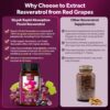 Piceid Resveratrol Supplement and NAD+ Cell Regenerator, Ultra High Purity & Bioavailable, Support Heart Health, Blood Flow, Cellular Energy Production&Metabolism, Red Grape Powder, 45 Day Supply-118