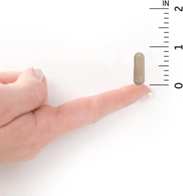 31EsNxFwuyL._AC_SL1000_.jpg Garden of Life Raw Vitamin Code Vitamin C, 120 Vegan Capsules, 500mg Whole Food Vitamin C Supplements with Bioflavonoids, Fruits & Veggies, Probiotics, Gluten Free for Adults