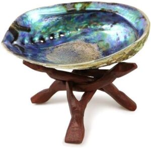 Natural Abalone (Pāua) Shell, with Stand, Over 6.5 inches, Supreme Plus,for Smudging,Cleansing Home, Meditation,Shell Crafts,Incense Holder,Home Décor,100% Natural, Sourced by Ocean Shell Studios NZ