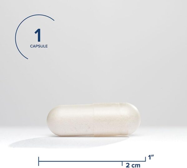 Seeking Health Histamine Digest - Digestive Enzyme Support for Histamine Intolerance - DAO Supplement Aids Digestion for Stomach Relief - 30 Capsules