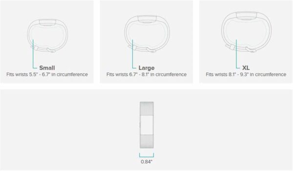 Fitbit Charge 2 Heart Rate + Fitness Wristband, Blue, Large (US Version), 1 Count