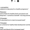 THORNE Basic Prenatal - Well-Researched Folate Multi for Pregnant and Nursing Women Includes 18 Vitamins and Minerals, Plus Choline - 90 Capsules - 30 Servings