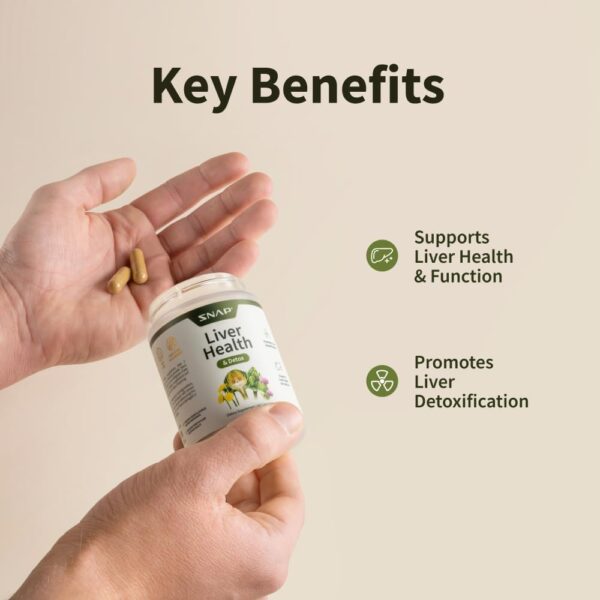 Snap Supplements Liver & Detox Support Supplement with Milk Thistle and Dandelion Leaf Extract, Vitamins, Herbs and Antioxidants Supplement for Liver Support and Digestive Health, 60 Capsules