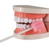 100PCS Disposable Mouth Swabs Sponge - Unflavored, Sterile Oral Swabs Dental Swabsticks for Mouth Cleaning