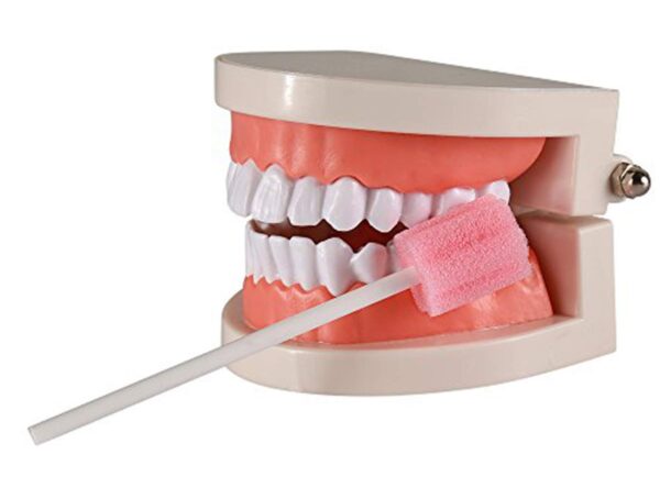 100PCS Disposable Mouth Swabs Sponge - Unflavored, Sterile Oral Swabs Dental Swabsticks for Mouth Cleaning