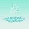 Estroven SlimBiotics, Weight Management Menopause Supplements for Women, 30 Capsules, B Vitamins to Support Metabolic Health, Probiotics for Digestive Health to Provide Gas & Bloating Relief