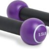 Zumba 2.5 lb Dumbbells Set of 2 - Hand Weights for Women, Dumbbells for Women at Home, Workout Weights Dumbbells Set, Purple Exercise Weights - Small Weights for Women, At Home Fitness