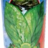 Youngevity Ultra Body Toddy™ - 100+ Nutrient Mega Multi-vitamin Mineral Supplement for Men and Women - Enhanced Absorption - Phytonutrients - Amino Acids - 32 Fl Oz