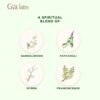 Gya Labs Mindful Meditation Essential Oil Blend - 100% Pure Natural Undiluted Meditation Essential Oil - Grounding & Relaxing (0.34 Fl Oz)