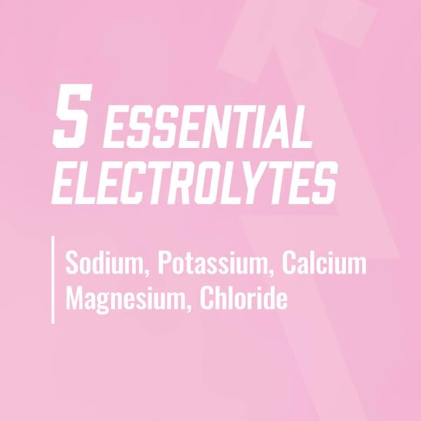 BioSteel Sports Drink, Great Tasting Hydration with 5 Essential Electrolytes, Pink Lemonade Flavor, 16.7 Fluid Ounces, 12-Pack